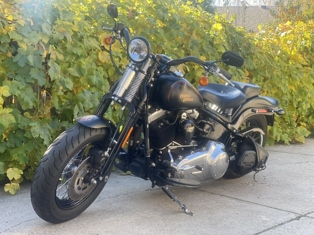 2008 Harley-Davidson Crossbones Springer FLSTSB Softail
