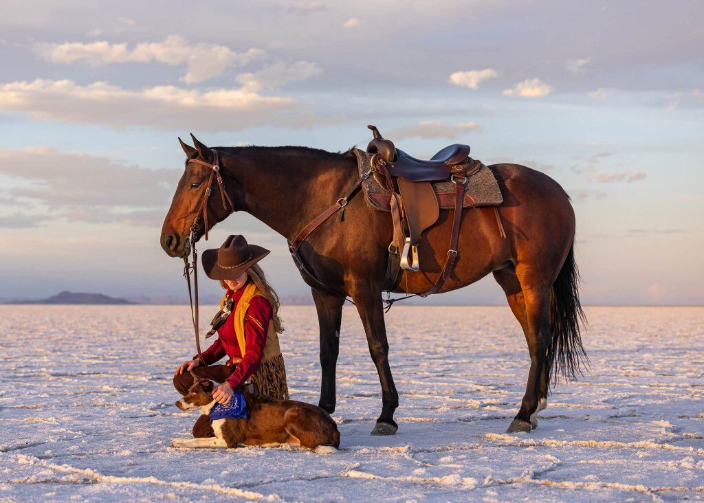 Mare for lease, advanced riders!