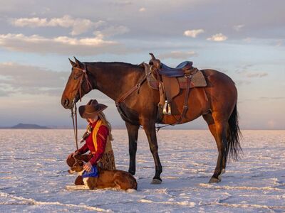 Mare for lease, advanced riders!