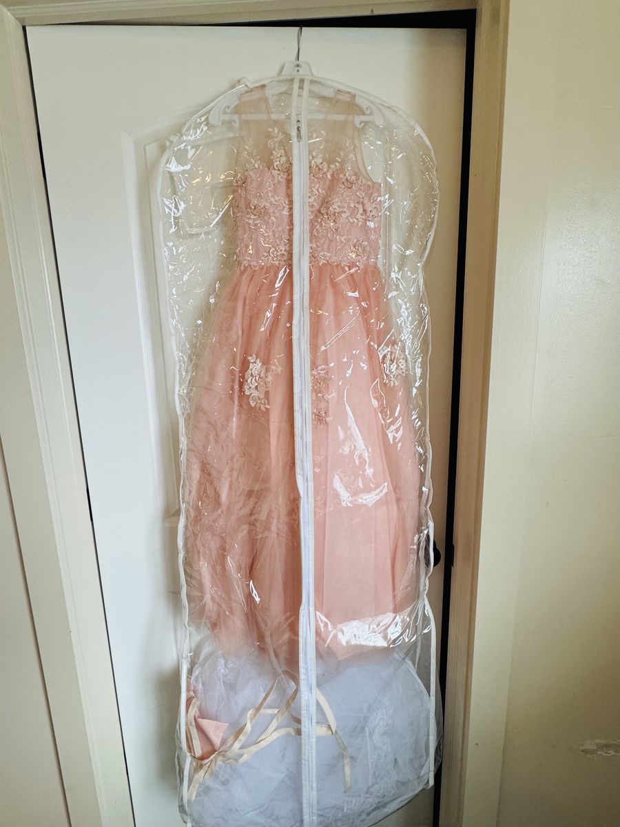 Quinceañera dress