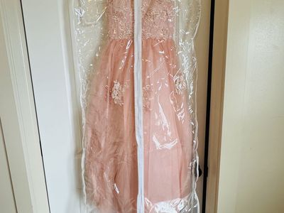 Quinceañera dress