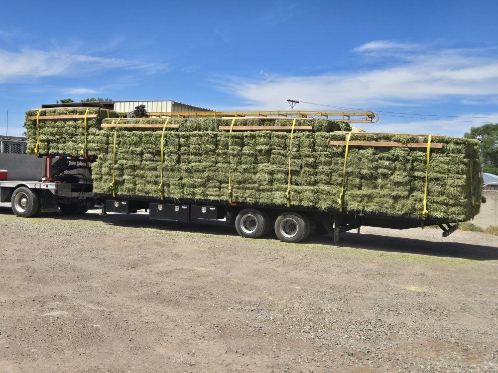 Small bale Alfalfa hay (Delivery available)