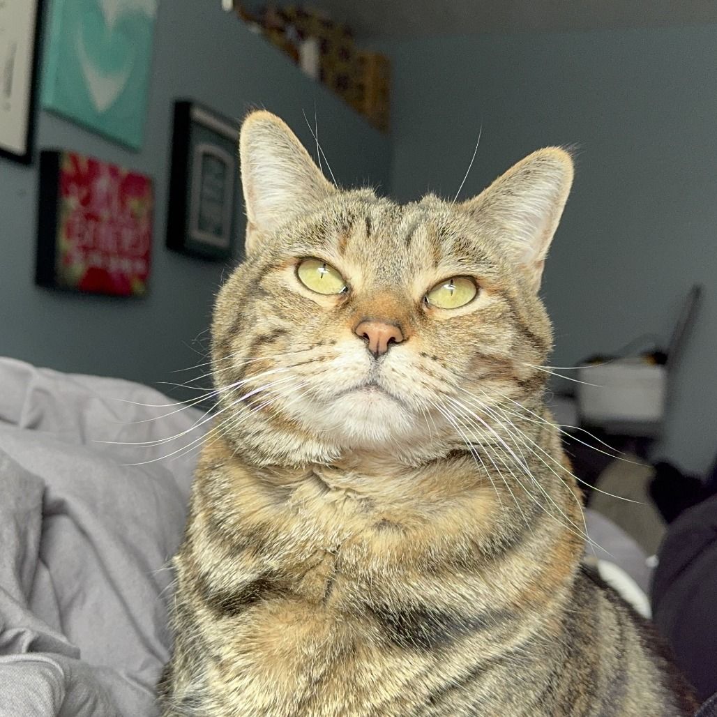 Hello my name is Tuna