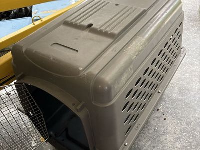 Plastic Pet Kennel Transport Crate with Wire Door