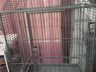 Used large bird cage $400