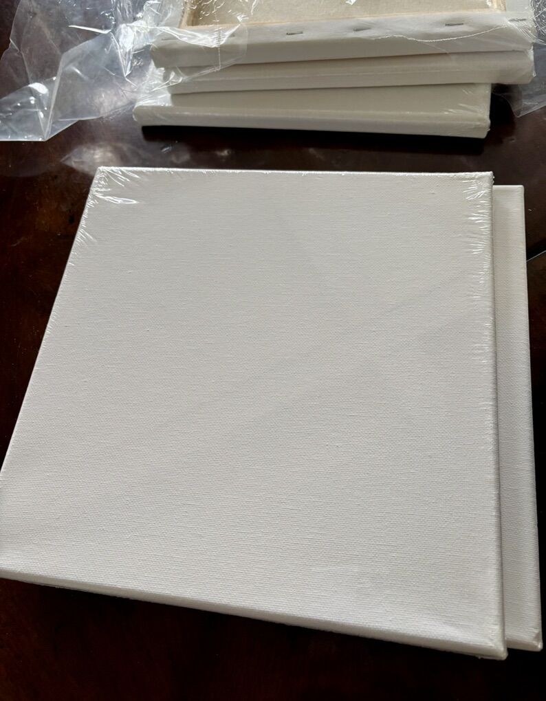 5 Canvases by Artist’s Loft