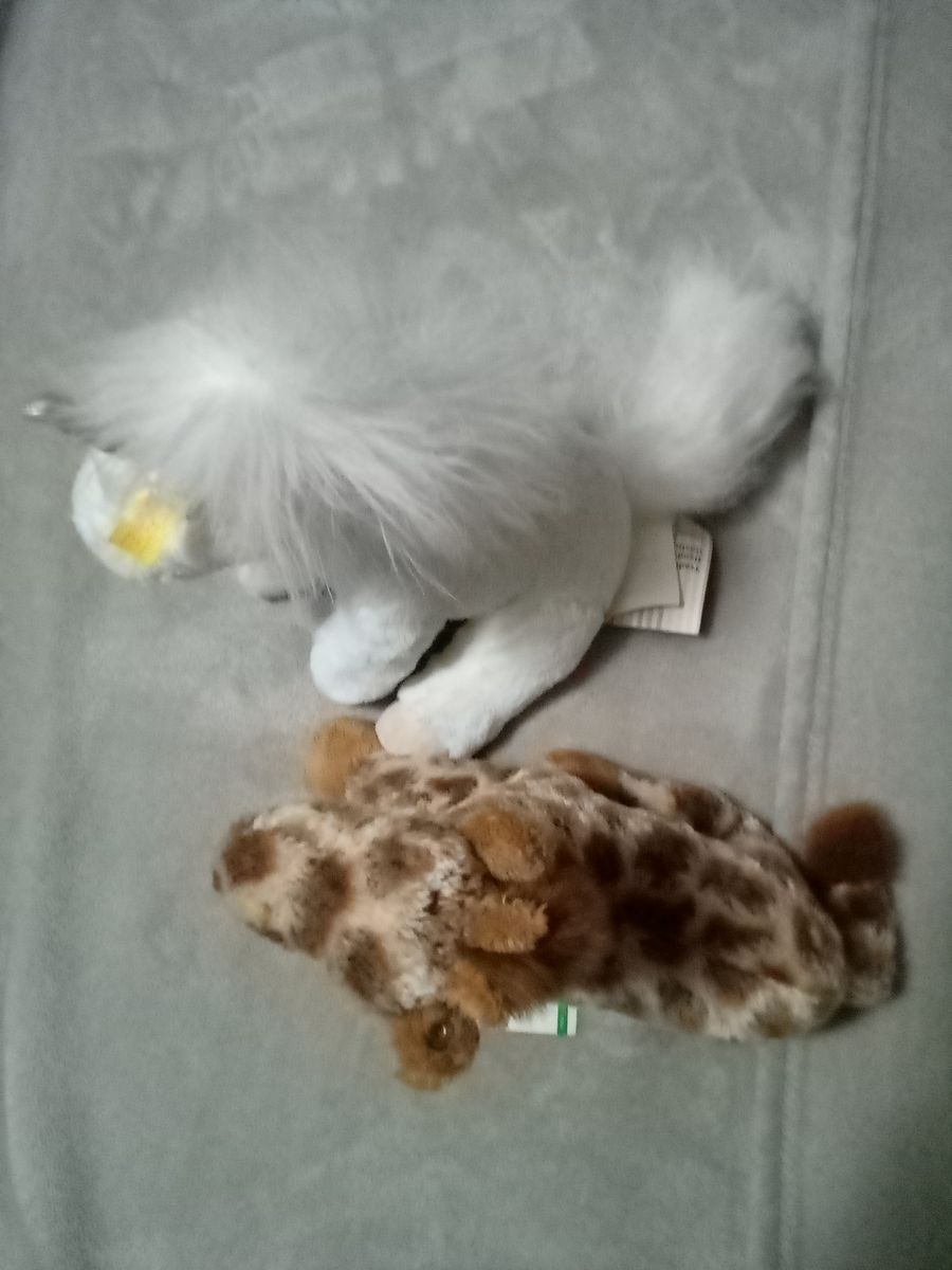 Main image 4