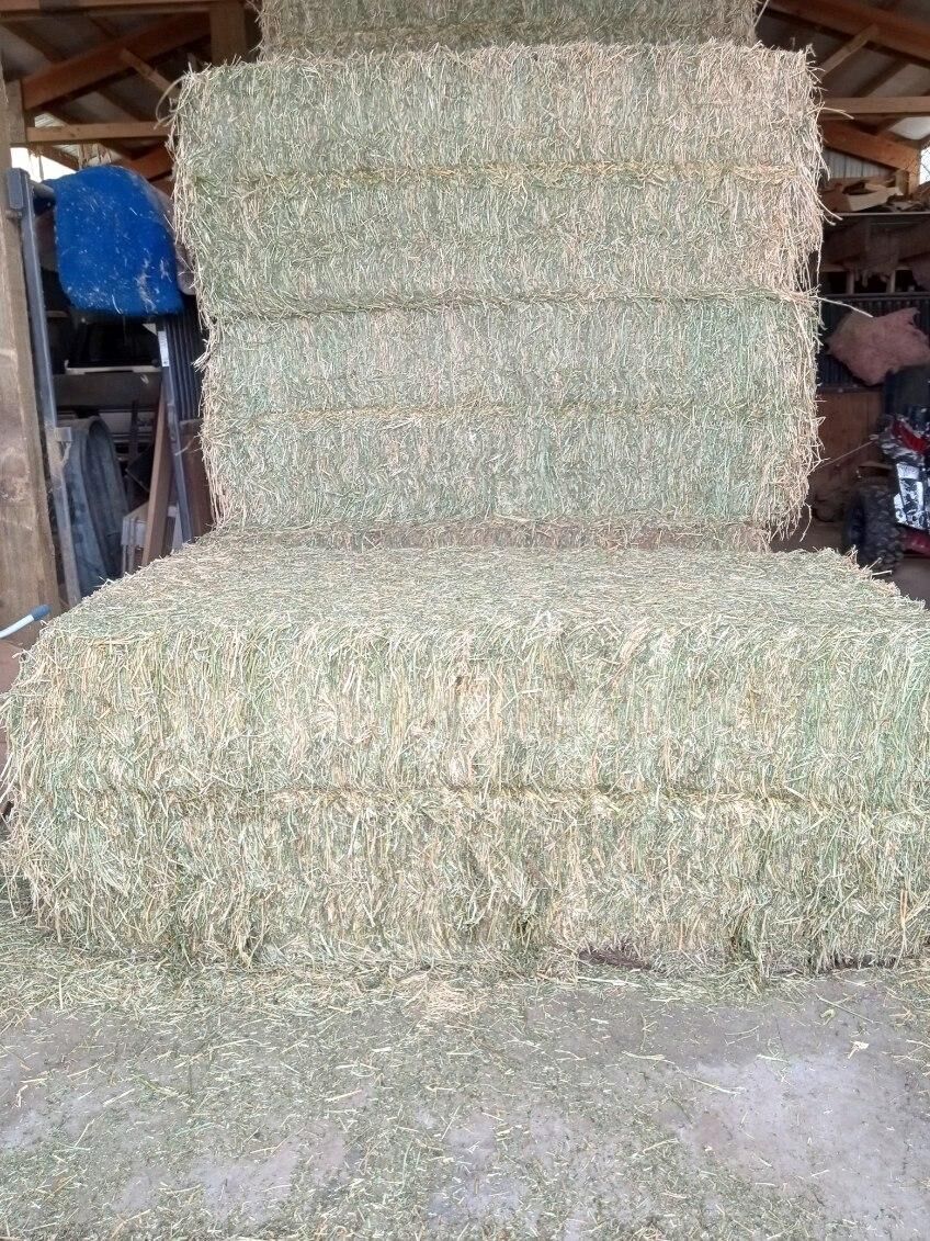 Selling 3x4x8 Alfalfa Hay Bales