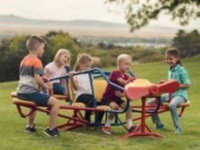 Lifetime Ace Flyer Teeter-Totter