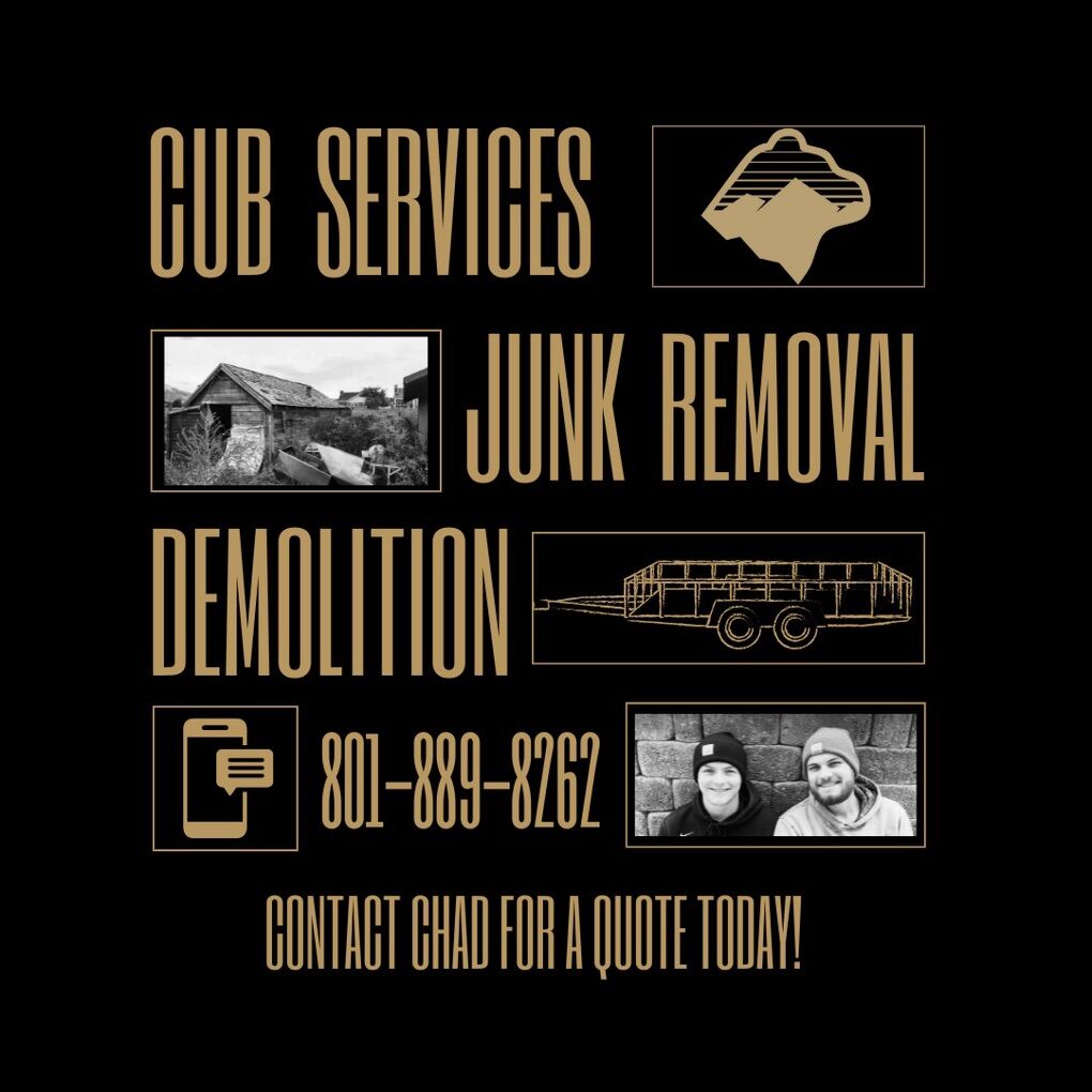 Junk Removal/Demolition Services