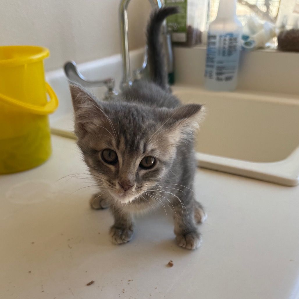 Hello my name is Rue