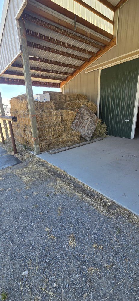 Clean grass with some clover.  Last season hay.  Sunbleached edges. 75 bales