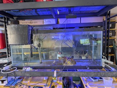 75 gallon Marineland aquarium with filter