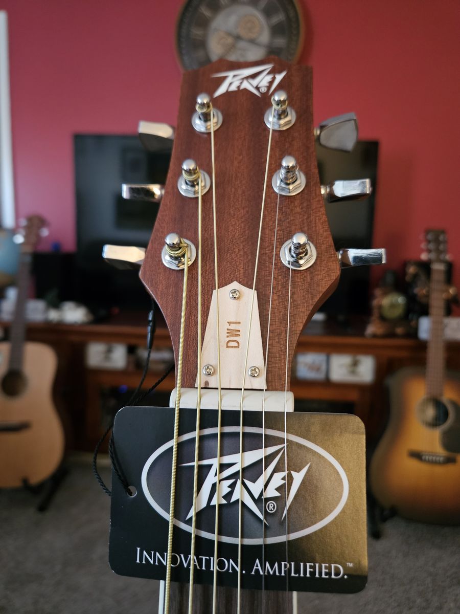 Peavey Acoustic Guitar