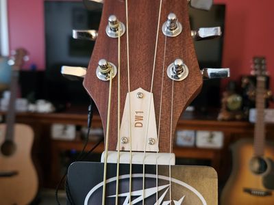 Peavey Acoustic Guitar