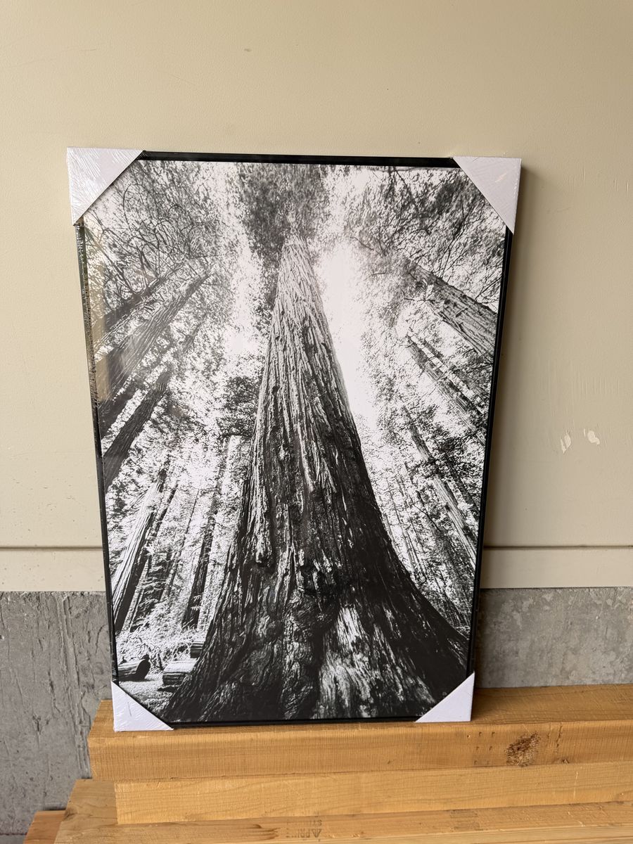 24”x36” Black Frame Redwood Canvas Print/16”x24” Black Frame BW Thistle Print