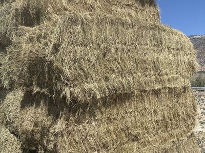 Pasture Grass Hay