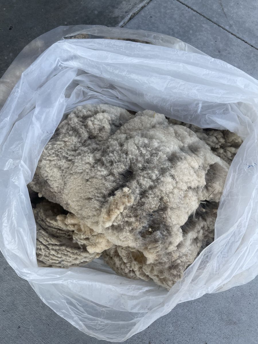 Raw Sheep's Wool - Unprocessed, Natural Fiber for Crafts & Spinning