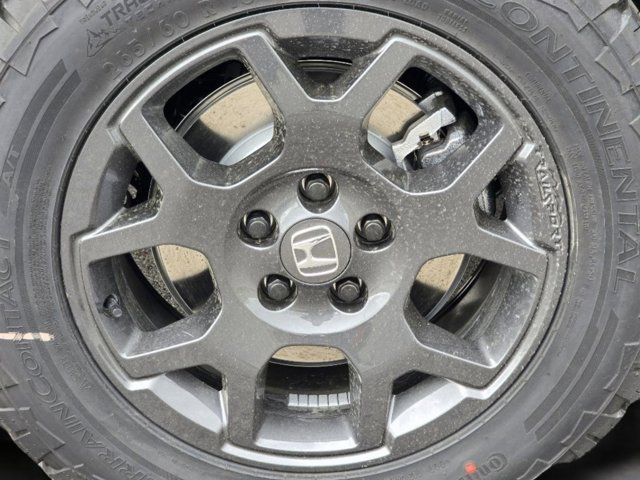 Main image 12