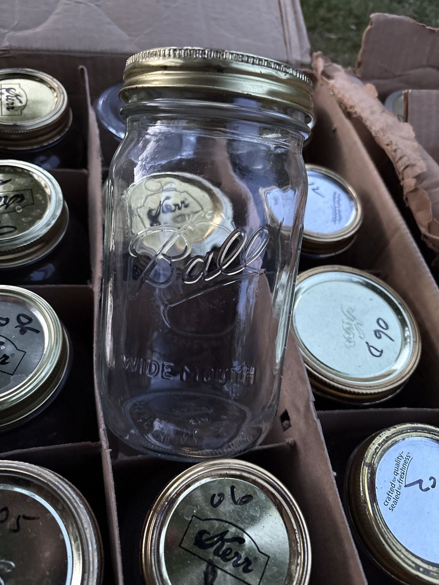 Kerr Masson jars