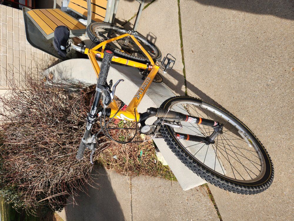 specialized Stumpjumper mountain bike