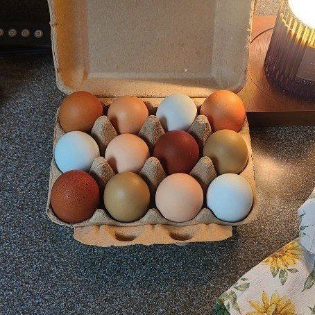 Farm Fresh Eggs