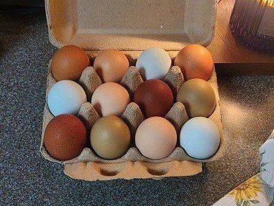 Farm Fresh Eggs