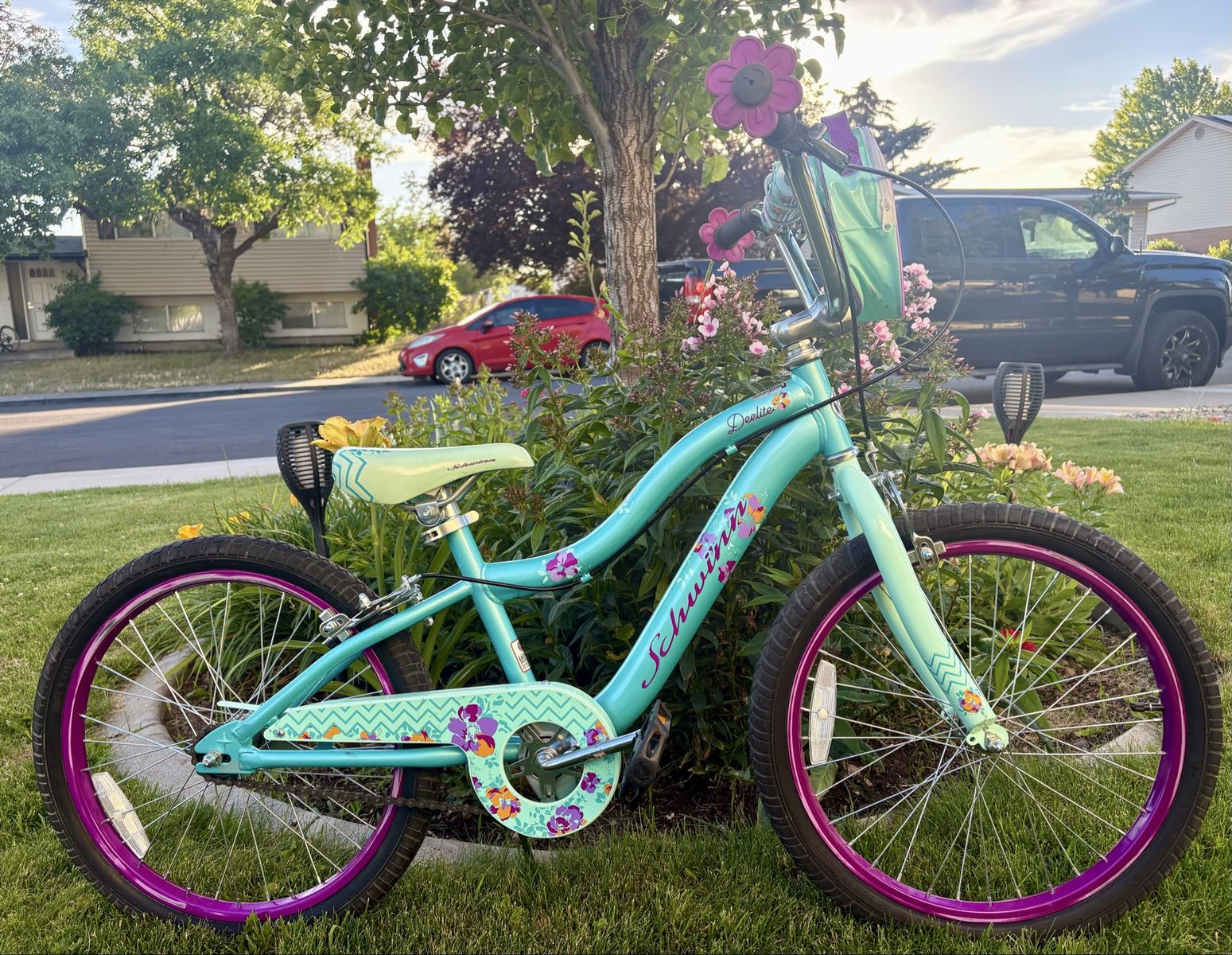 Schwinn Deelite 20" Girls' Cruiser Bike