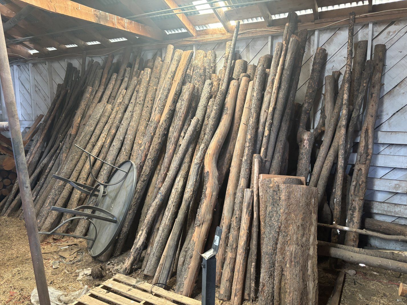 Firewood Logs and Lumber Assortment - Various Sizes, Mixed Wood for Burning or Crafting