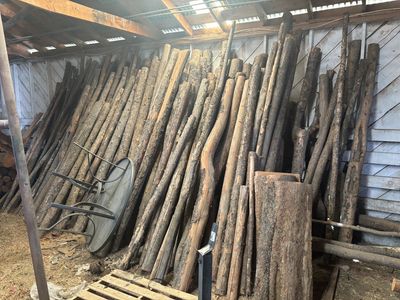 Firewood Logs and Lumber Assortment - Various Sizes, Mixed Wood for Burning or Crafting