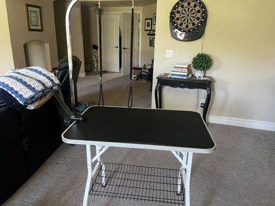 Dog grooming table