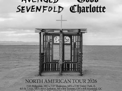 1 GA Lawn Ticket - Avenged Sevenfold & Good Charlotte Tour