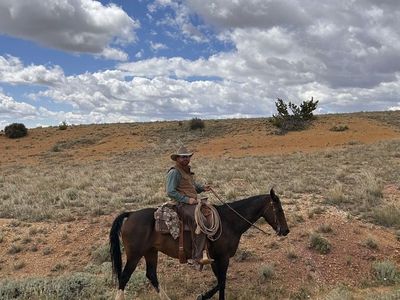 Ranch/Rope horse
