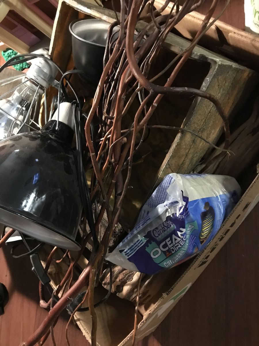 Random Reptile Supplies