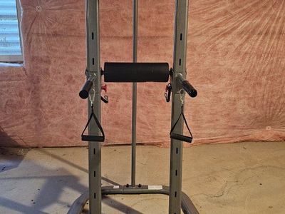 Bowflex BodyTower Workout Station