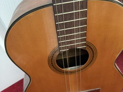 Vintage Crown Guitar needs strings