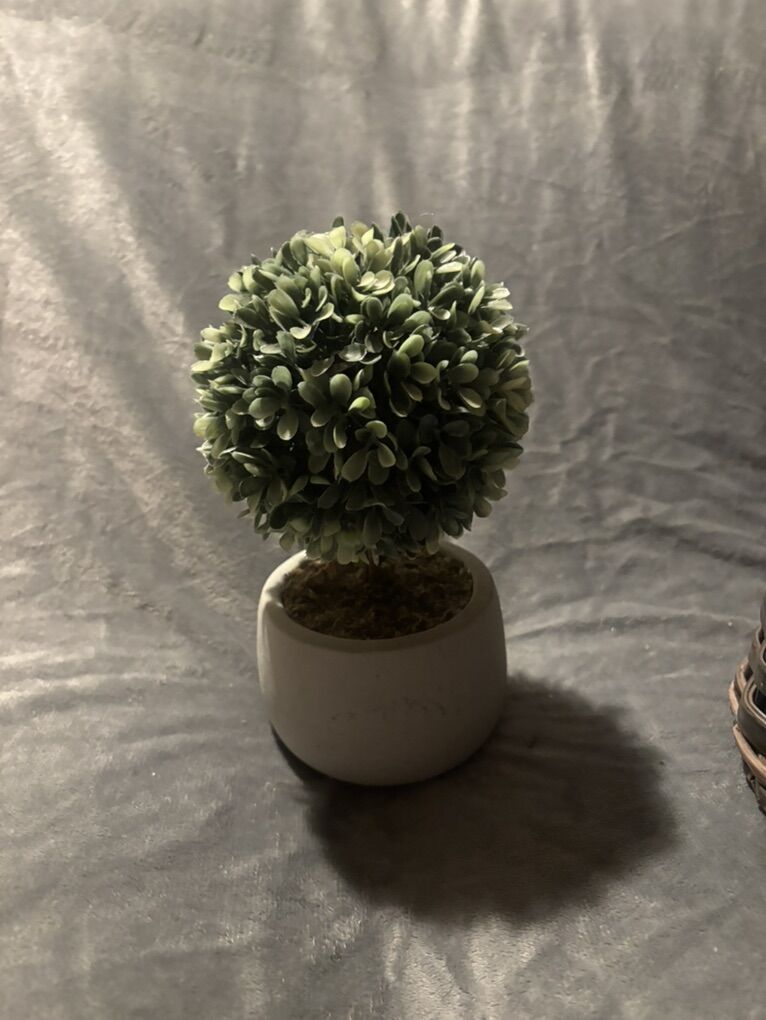 artificial Mini Boxwoood Topiary