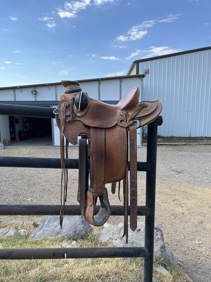 Hilason Wade tree rope saddle