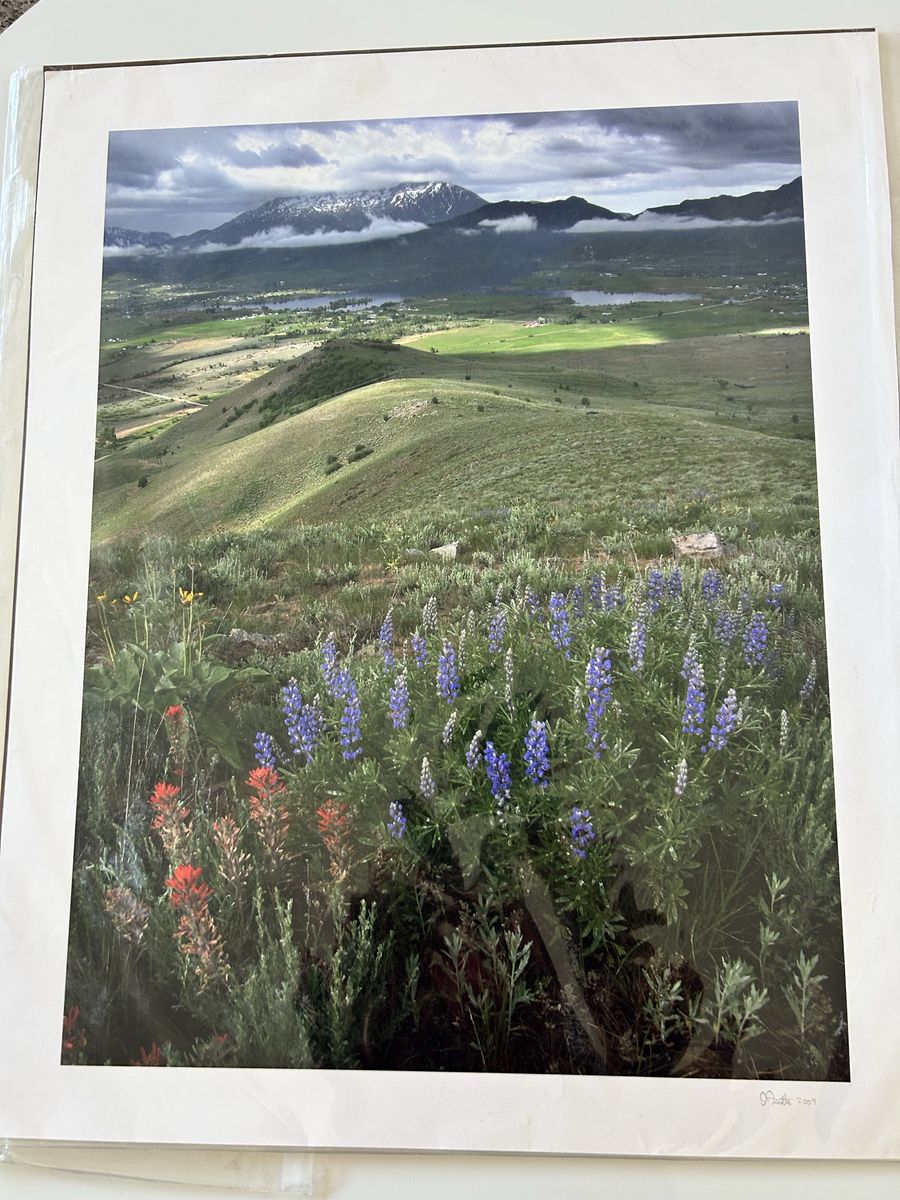 Ogden Valley Utah Photogragh Signed By David Fantle 2004