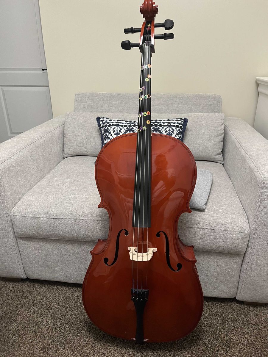 Full size cello