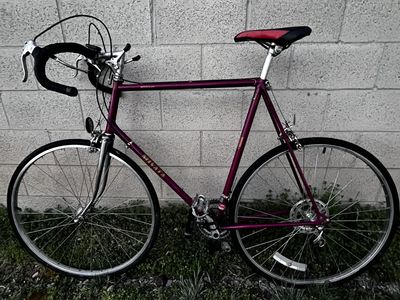 Large 1981 miyata touring road bike