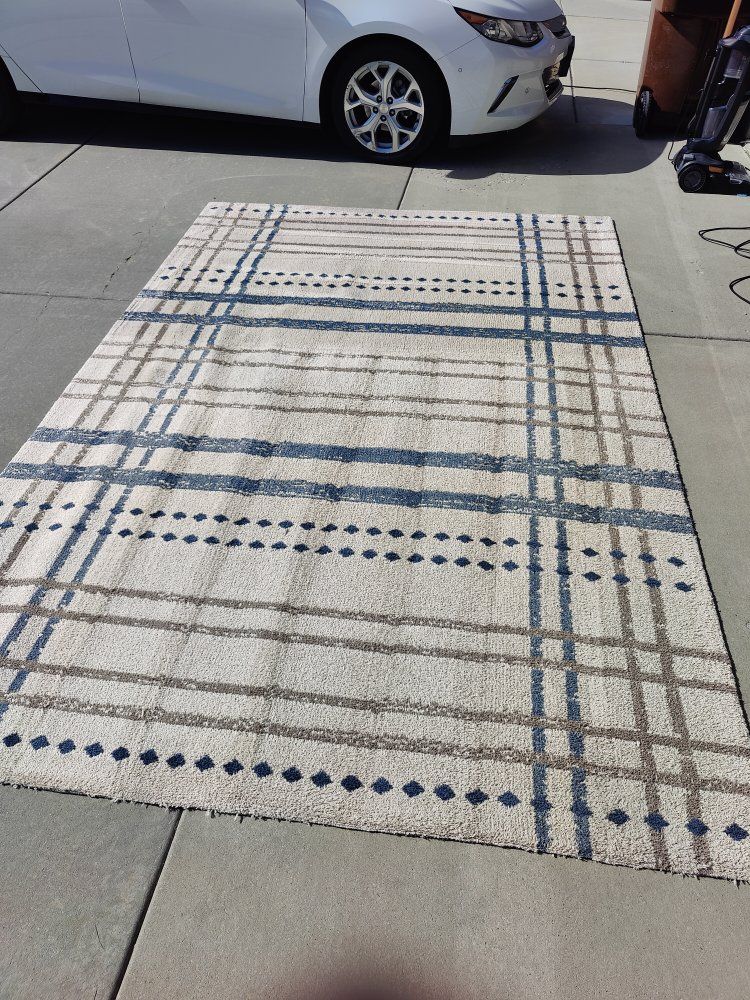Rug from Costco 10ft 5in X 7ft medium pile