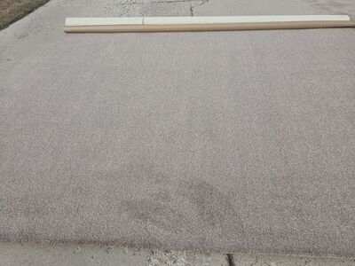 free carpet 11'4"x12'