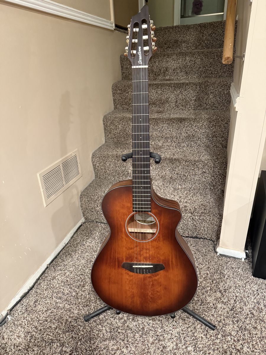 Breedlove Acoustic guitar