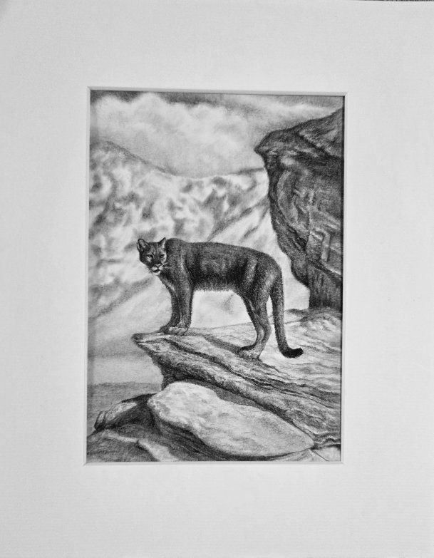 Main image 3