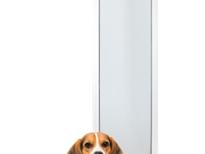 PetSafe Sliding Glass Pet Door, 1 Piece, Medium Dogs to 40 lb, White