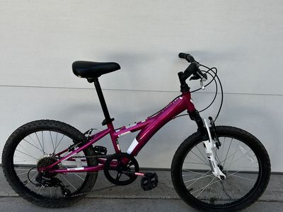 Diamondback Bicycles Tess 20 Youth Girls 20" Wheel Mountain Bike, Pink