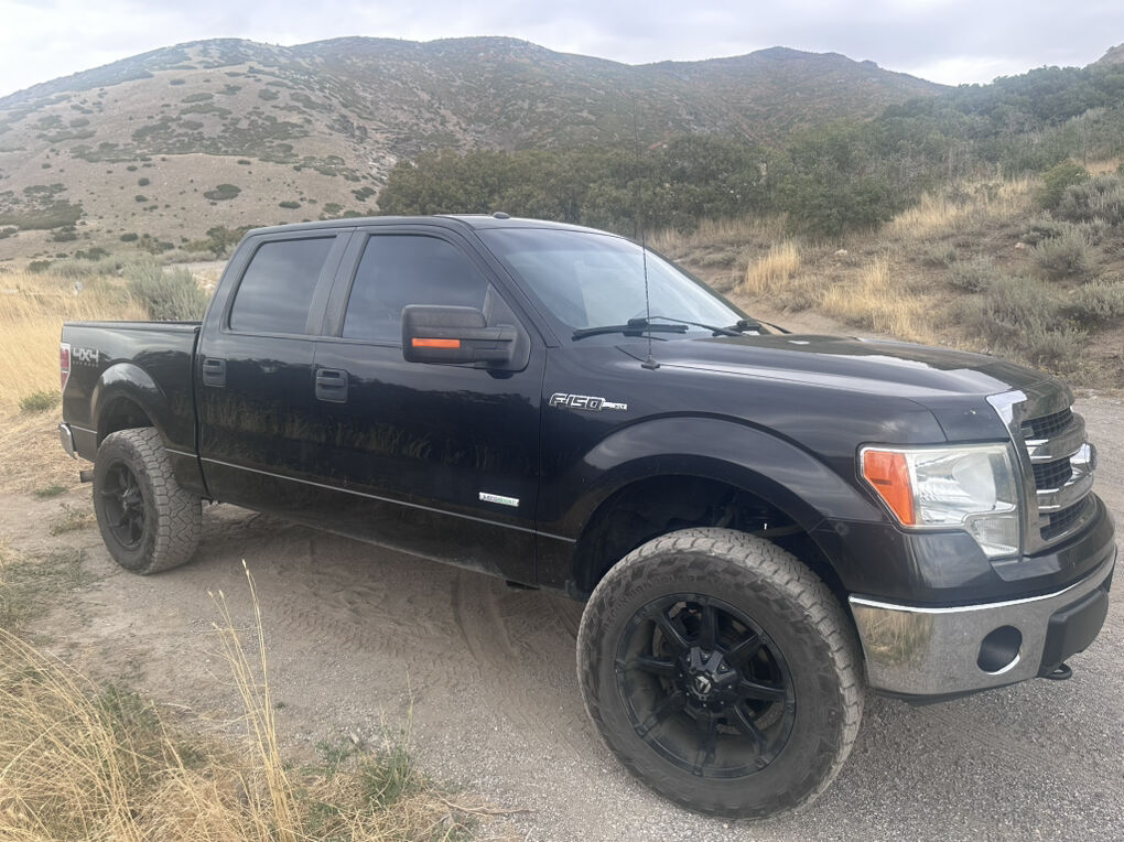 2014 FORD F150 XLT