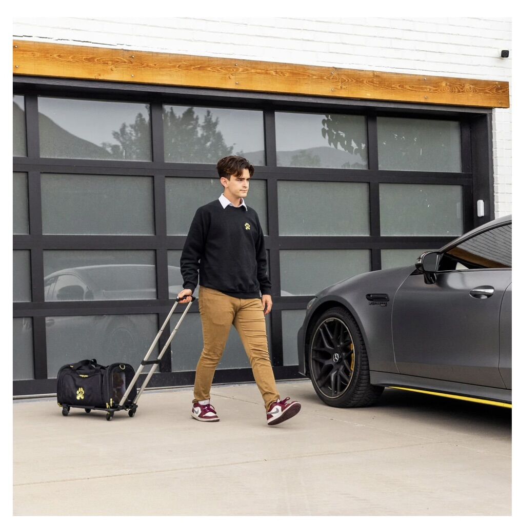 The Best Travel Carrier For Any Pet under 20 lbs