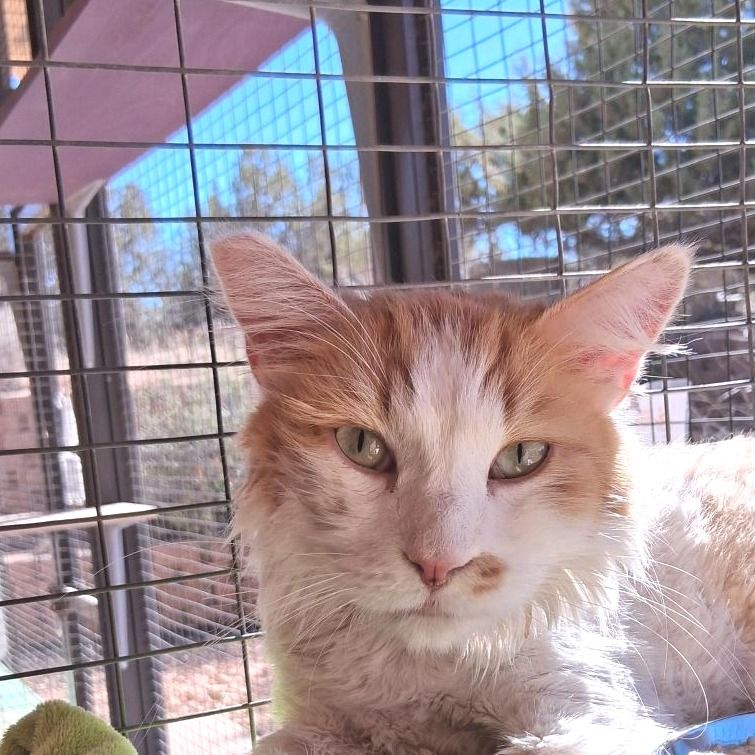 Hello my name is Soufie